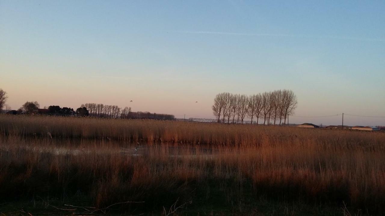 Sint-Margriete De Molenkreekヴィラ エクステリア 写真
