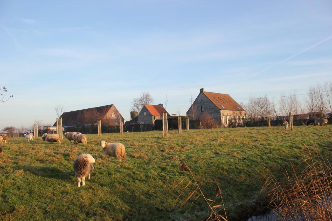 Sint-Margriete De Molenkreekヴィラ エクステリア 写真