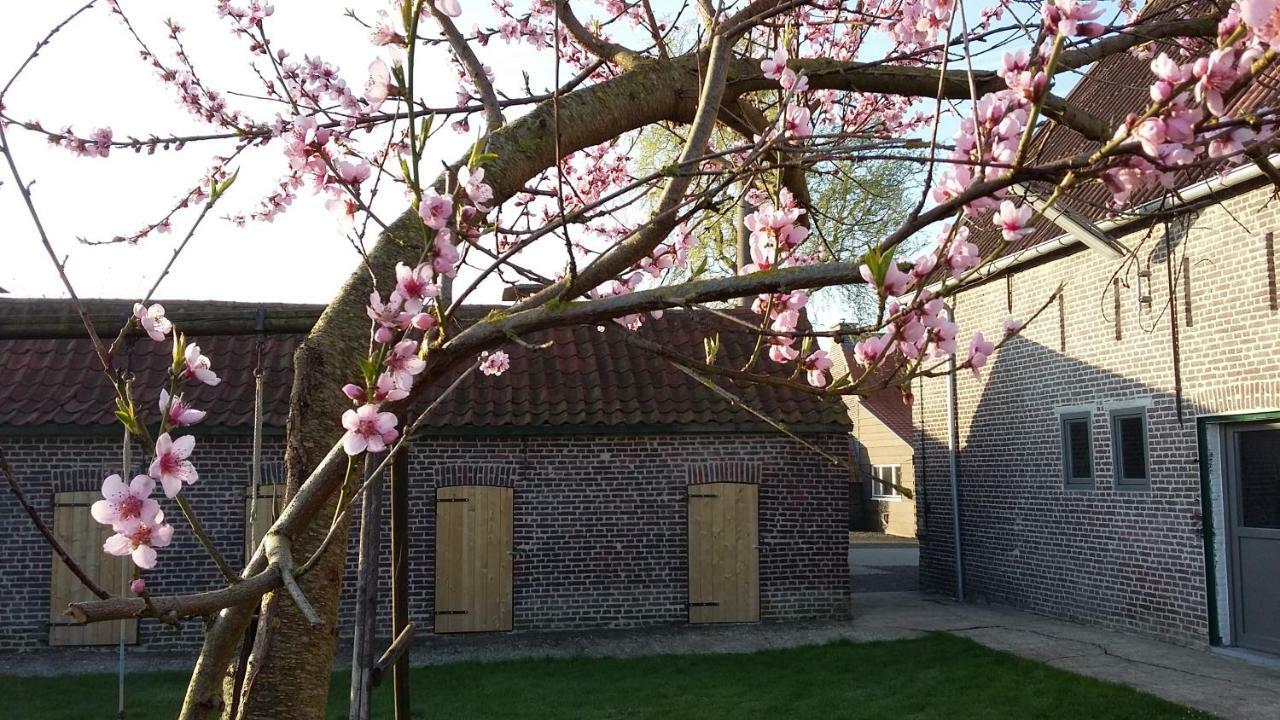 Sint-Margriete De Molenkreekヴィラ エクステリア 写真